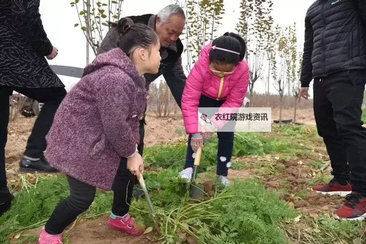 男人和女人拔萝卜直播下载链接——在线观看精彩瞬间的最佳途径图1