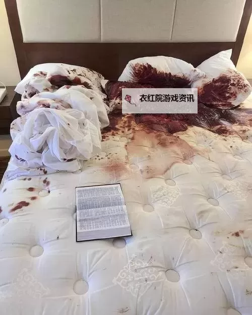 浴室自杀20天：一段令人心碎的未解之谜图1