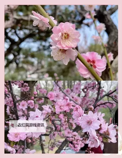 “性吧论坛春暖花开：探索春日里的温馨与激情图1