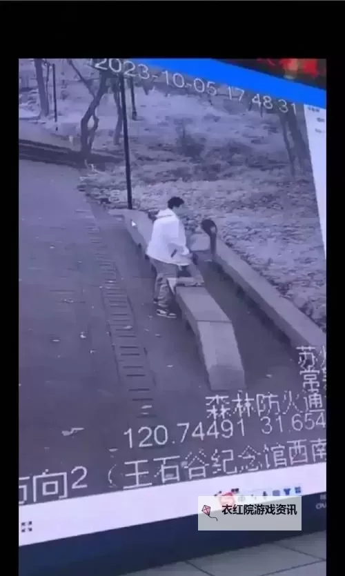 男生和女生打扑克日韩：青春碰撞与策略较量的精彩瞬间图1