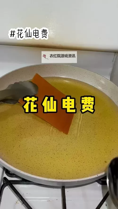 韩国三色电费在线播放：轻松掌握三色电费实时查询方法图2