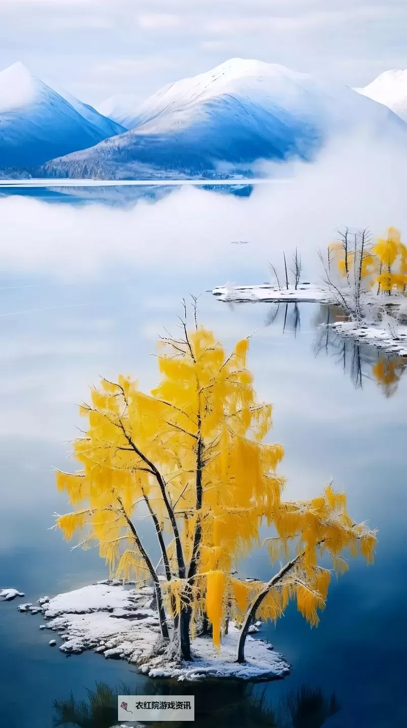 四房婷婷播播播:畅享多彩娱乐新体验图1