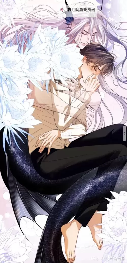 德萨罗的人鱼漫画免费阅读推荐与最新更新攻略图1