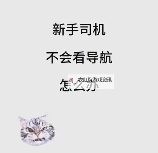 掌握技巧：如何快速找到“你懂得视频导航地址”图1