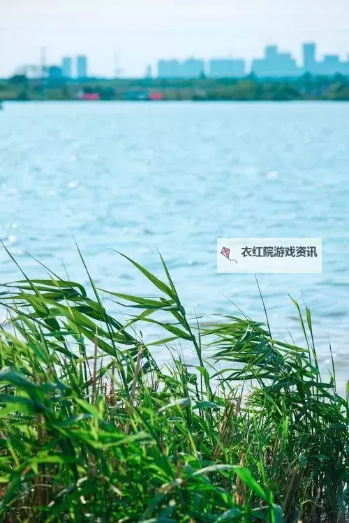 探索冒险：赛尔号棕色卡修斯的神秘之旅图1