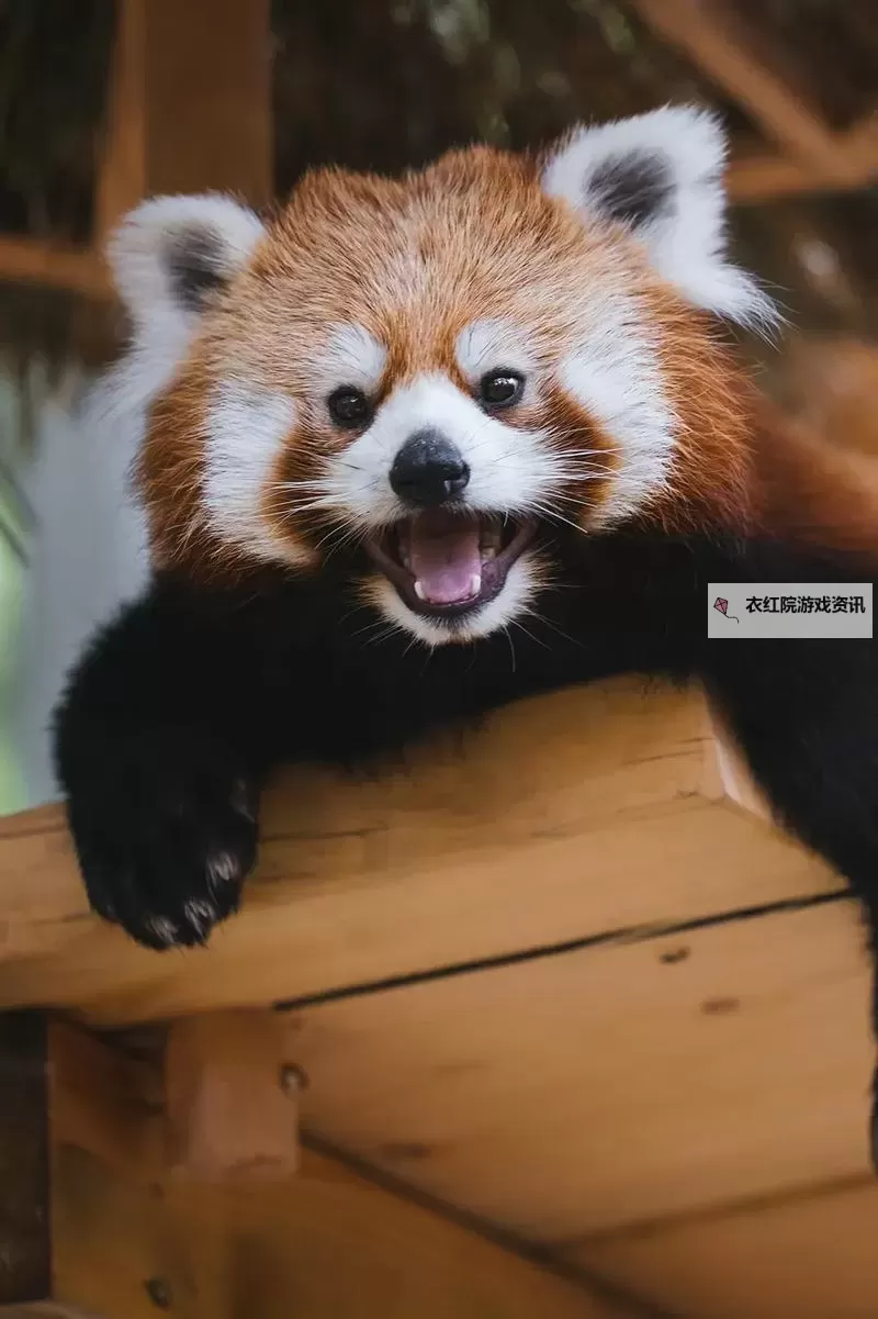 黑暗之刃紫色装备怎么获得：详尽攻略与获得途径图2