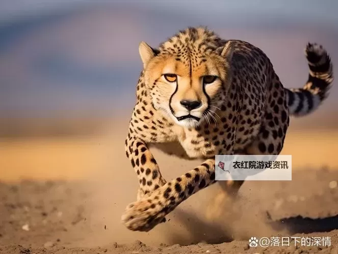 自己对准它自己动：探索内在动力的奔跑图1