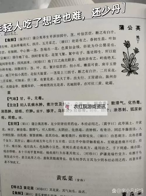 还童丹的作用与获取方法详解图2