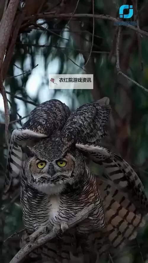 黑暗之刃紫色装备怎么获得：详尽攻略与获得途径图1