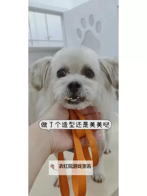 主人，求您关掉开关吧：一段心灵的呼唤图1