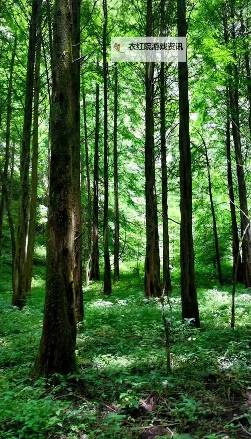 探秘“食色富二代视频下载”最新资源推荐与安全下载指南图1