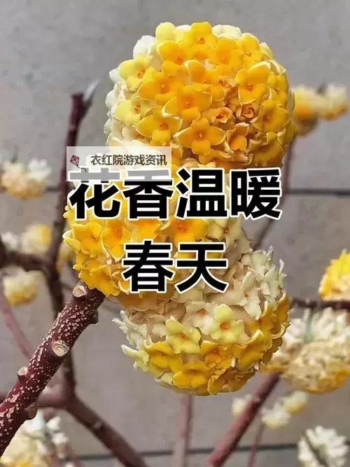 赛尔号盖亚强吻缪斯引发热议：英雄的甜蜜瞬间图1