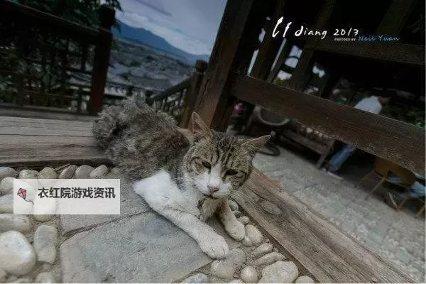 困困兔宿舍免费观看完整版：全景揭秘趣味校园生活图1