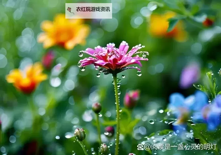 亚洲婷婷六月天：夏日繁花绽放的清新篇章图1