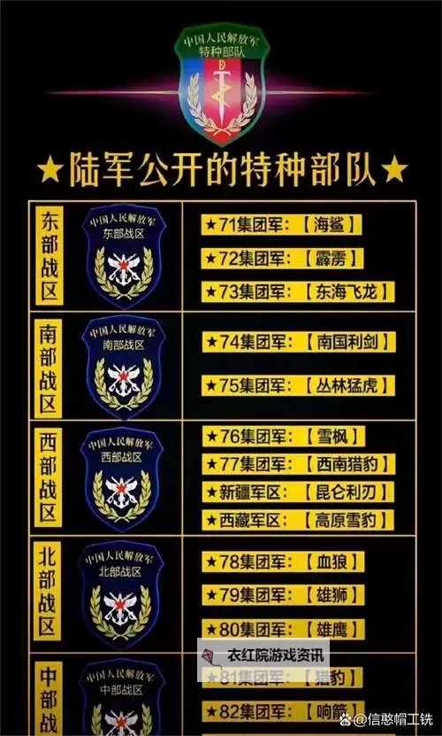 有什么军人聊天平台比较好的推荐与选择指南图2