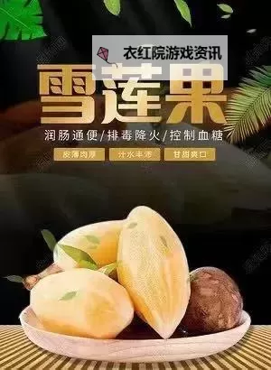 探索艾萨拉雾菇的神奇功效与采摘指南图2