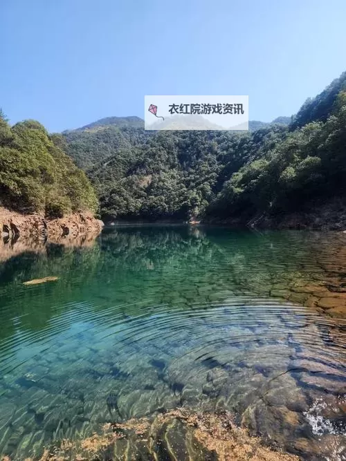 番号大全分类在线：全面掌握最新资源资讯图2