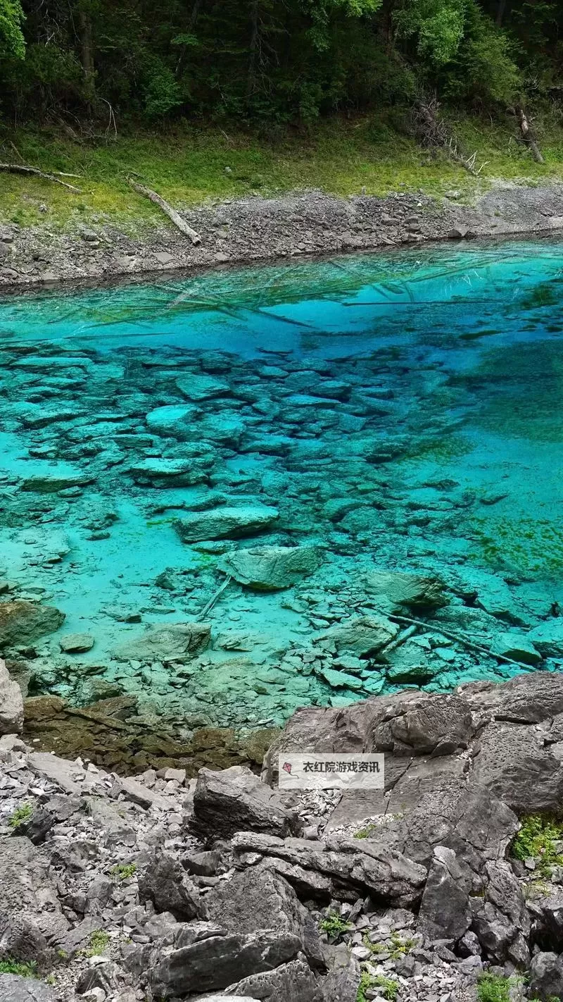 番号大全分类在线：全面掌握最新资源资讯图1