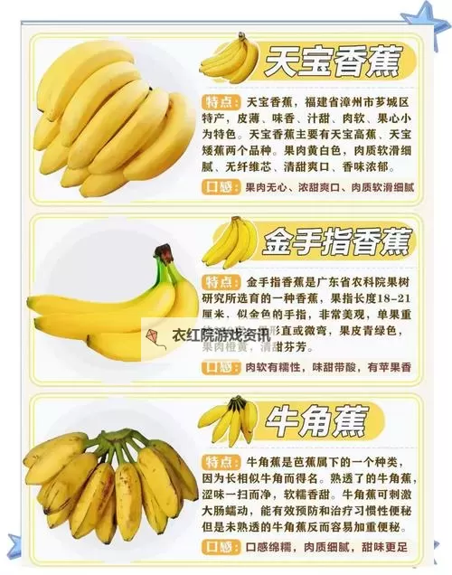 2020年最火的娱乐平台：探索香蕉视频2020的精彩内容图1