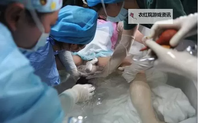 真实见证:感人至深的真人生孩子视频全程揭秘图1