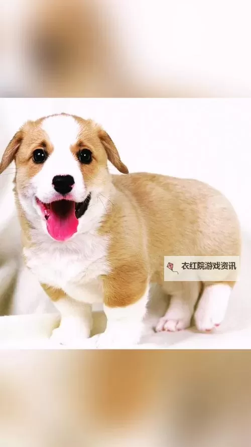 揭秘虐杀原形23dm论坛:玩家交流与攻略分享平台图1