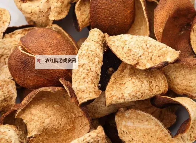 探索艾萨拉雾菇的神奇功效与采摘指南图1