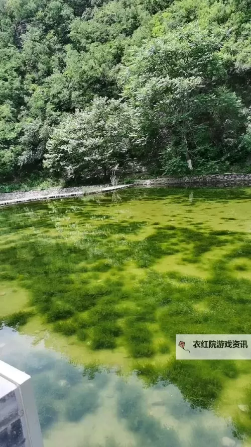 2021瑟提上单出装指南：最强搭配与实用技巧解析图1