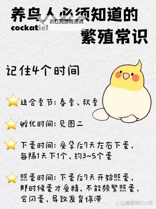 如何高效进行卡鲁耶克怎么孵化的实用指南图1