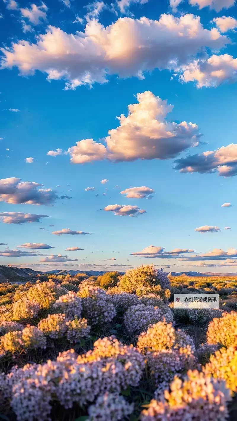 中国XXXXXL19免费视频：最新精彩资源免费在线观看图1