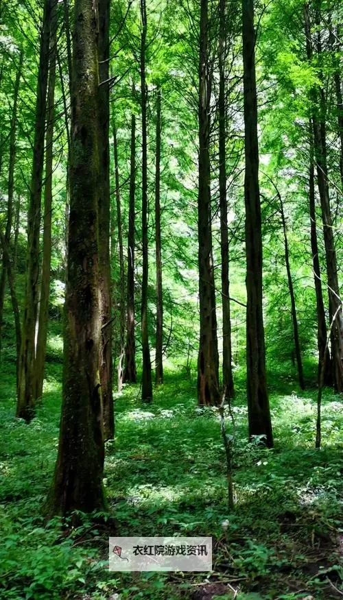 永劫无间卡盟24小时自动发卡平台：便捷稳定的一卡通解决方案图1