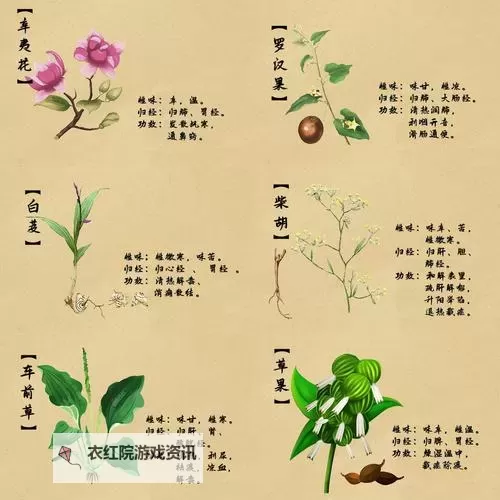 九阴真经奇珍异草位置全攻略:珍稀药材搜寻指南图1