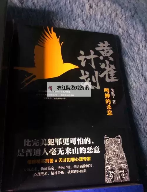 张大宝与儿媳苏媚的小说：爱与阴谋的交织图2