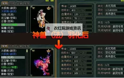 问道宠物图鉴：全面揭秘稀有宠物种类与养成技巧图1