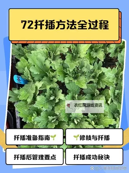 探索创新：在床上的72种扦插方法电影全解析图1