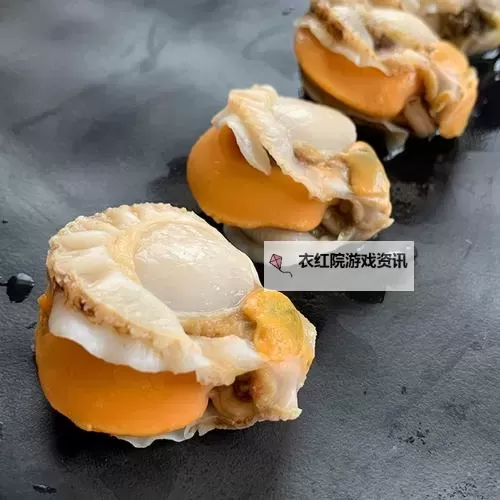 在把腿张大点我就可以吃到扇贝了：一段关于海鲜与期待的故事图1