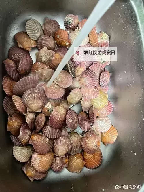 在把腿张大点我就可以吃到扇贝了：一段关于海鲜与期待的故事图2