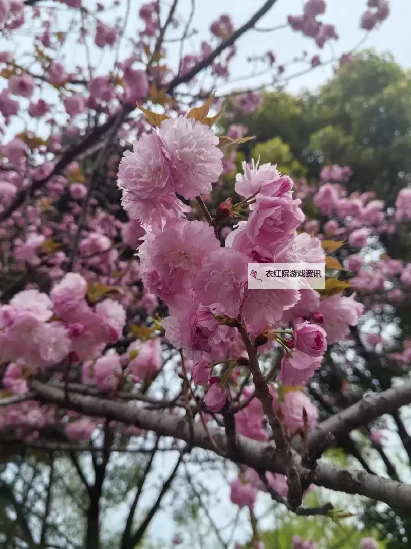 探索最新热门韩漫无码在线，畅享无限精彩阅读体验图1