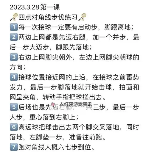 柳源门球闪击球训练教程：提升技巧与实战应用图1