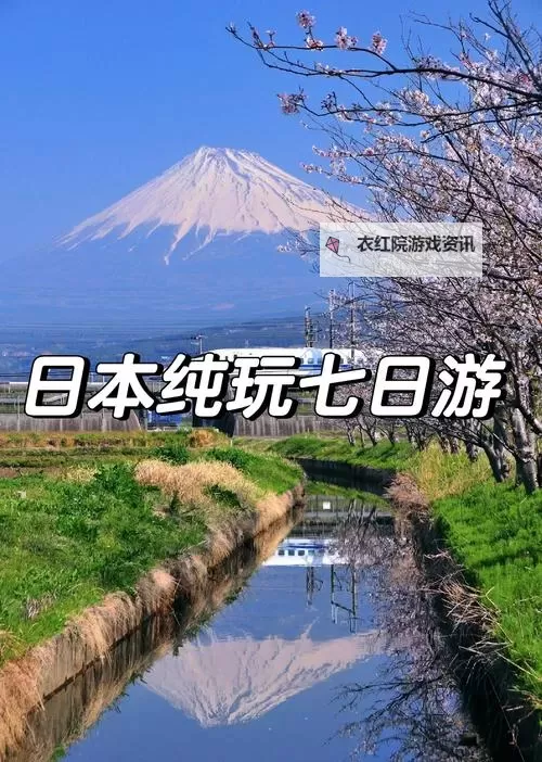 探索日本不卡一区：纯净体验的精彩之旅图1