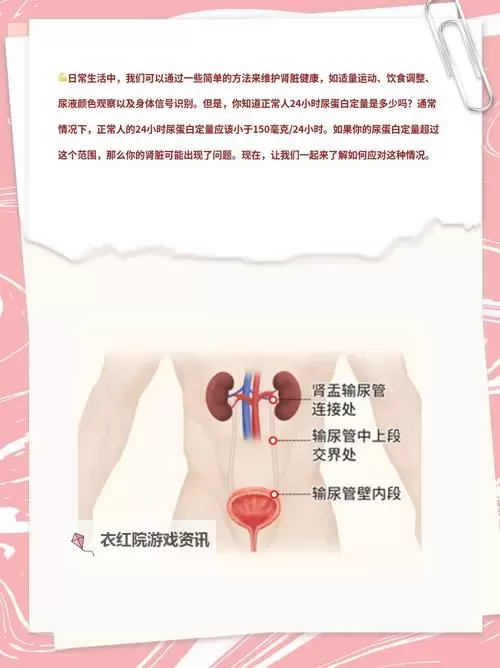 了解Peeholeurethra尿孔：结构与健康维护指南图1
