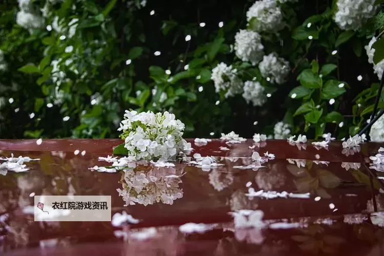 伊人春色www永久：春日里的永恒韵味图1