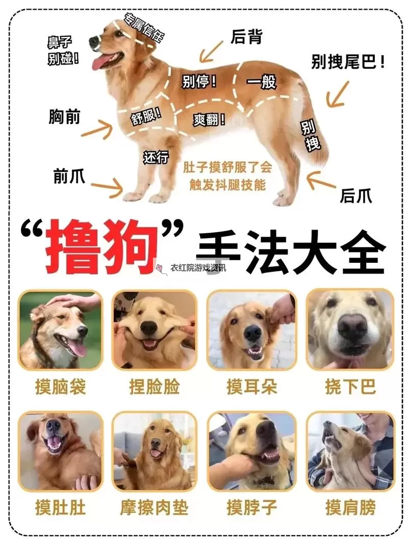 心动小狗如何双开 2021最新双开神器来袭图1