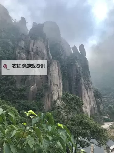 关于生态系统动态研究的关键工具：Holling圆盘实验分析图1