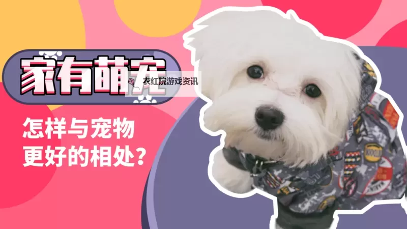 怎么双开我的萌宠世界？ 我的萌宠世界双开挂机图文全攻略图1