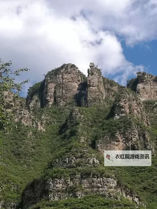 关于生态系统动态研究的关键工具：Holling圆盘实验分析图2