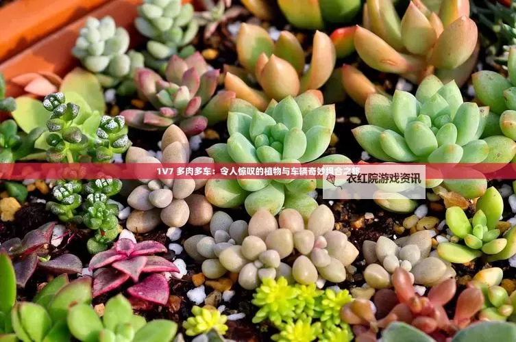 整篇都是车的多肉1V4推荐：超详细指南与精选推荐图1