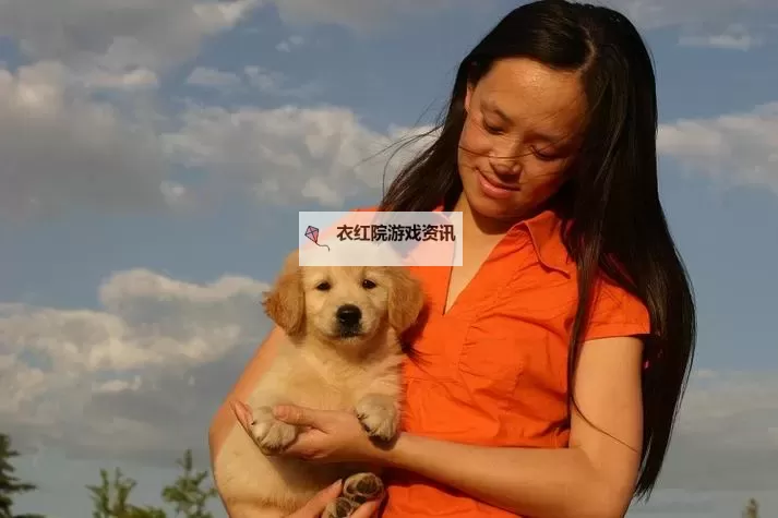 探索在线观看人物动物交互的优秀狗软件推荐图1