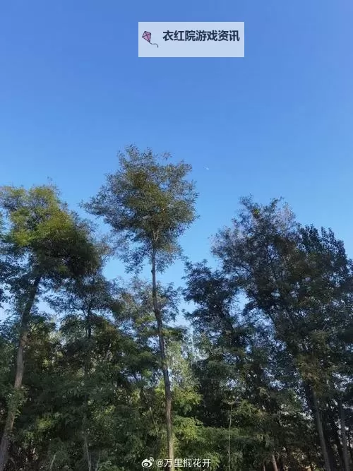 《九张羊皮纸》图文攻略 全关卡剧情流程及BOSS战打法图文攻略图2