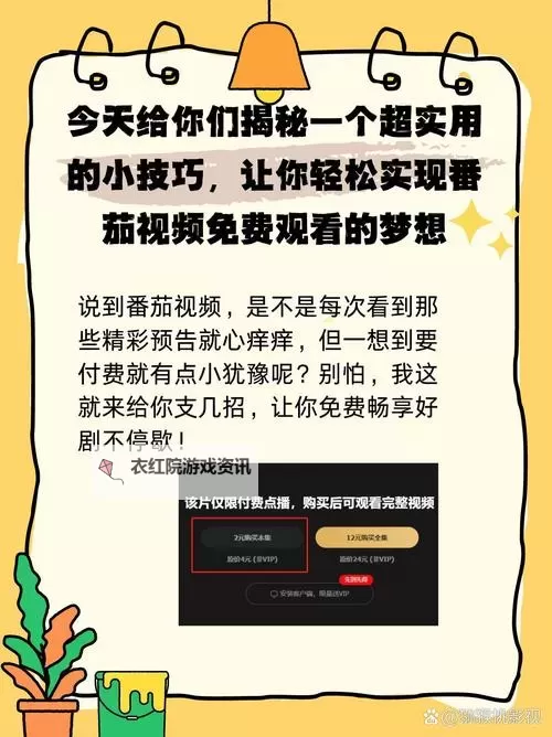 番茄视频免费网页版怎么打开？详细操作指南分享图1