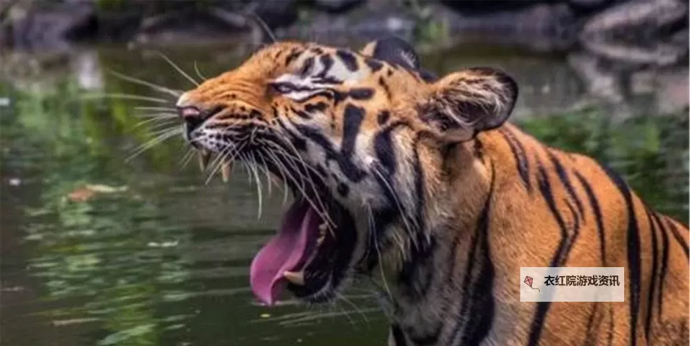 《原子之心》会说话的动物尸体位置 会说话的动物在哪图1